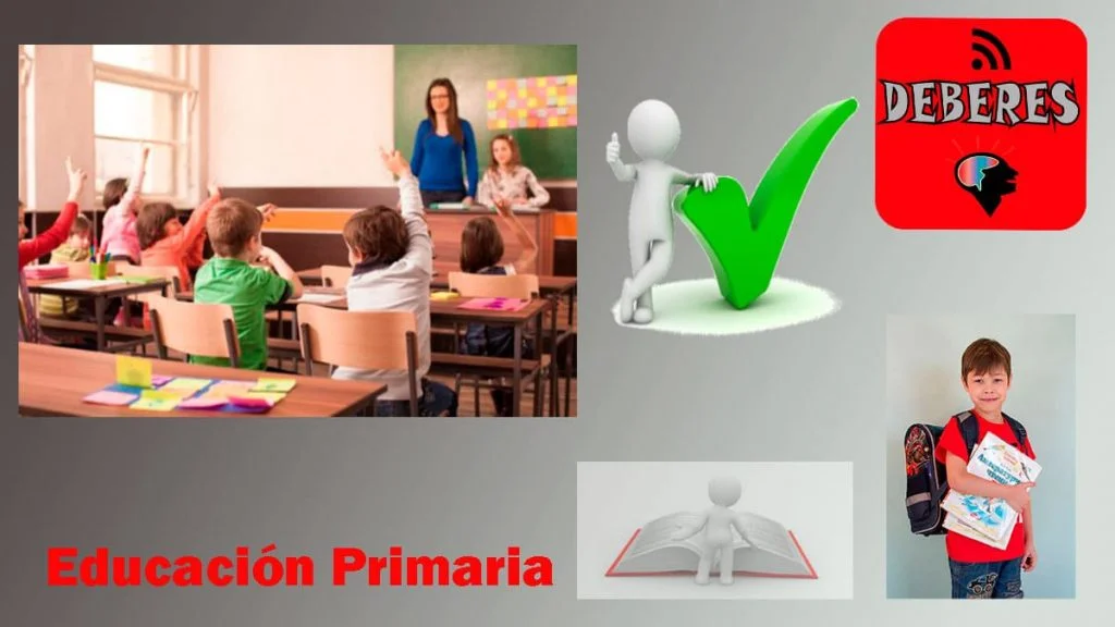 Educación Primaria